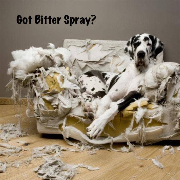 Bitter Spray: Anti-Chew - 8 oz